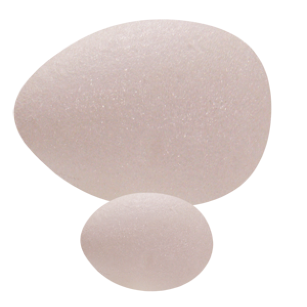 White Styrofoam Egg